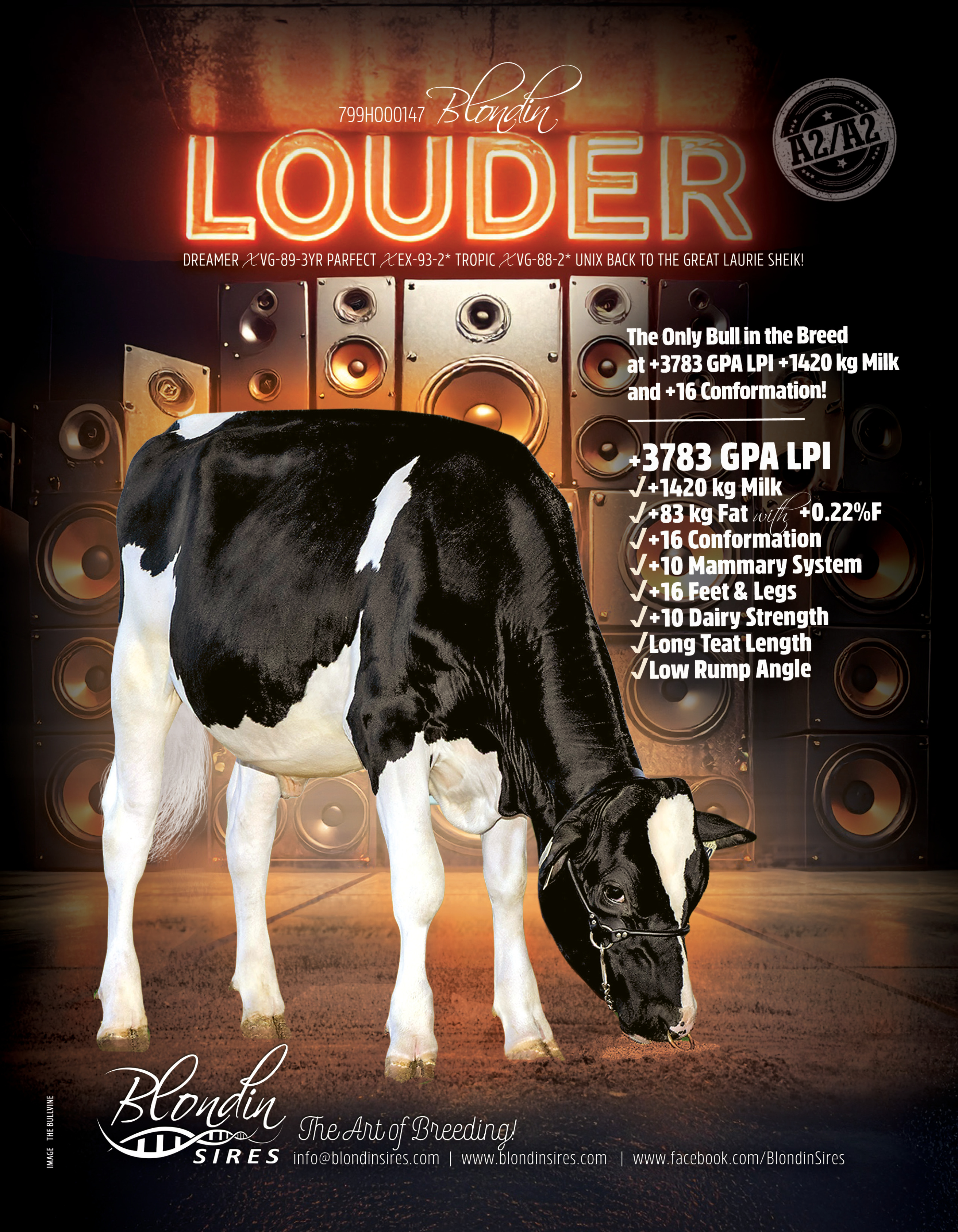 LOUDER — 799HO00147